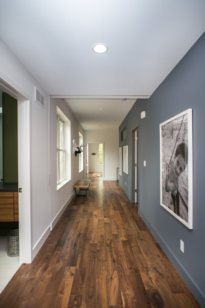 Стильный дизайн: коридор среднего размера: освещение в современном стиле с синими стенами и паркетным полом среднего тона - последний тренд