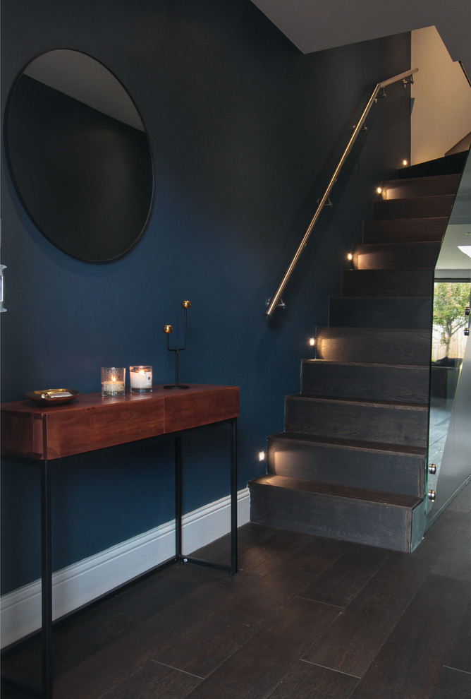 Источник вдохновения для домашнего уюта: коридор среднего размера в стиле модернизм с синими стенами, темным паркетным полом и коричневым полом