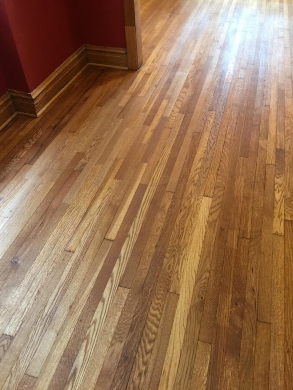 Inspiration for a mid-sized medium tone wood floor hallway remodel in Chicago with red walls