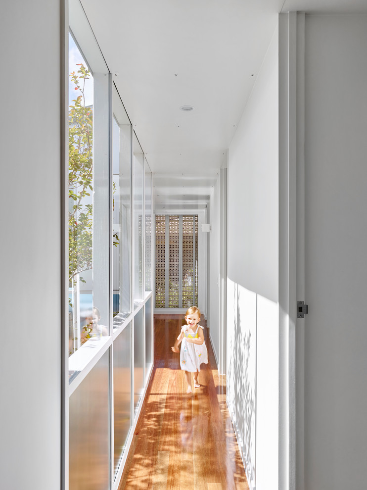 Diseño de recibidores y pasillos actuales de tamaño medio con paredes blancas y suelo de madera clara