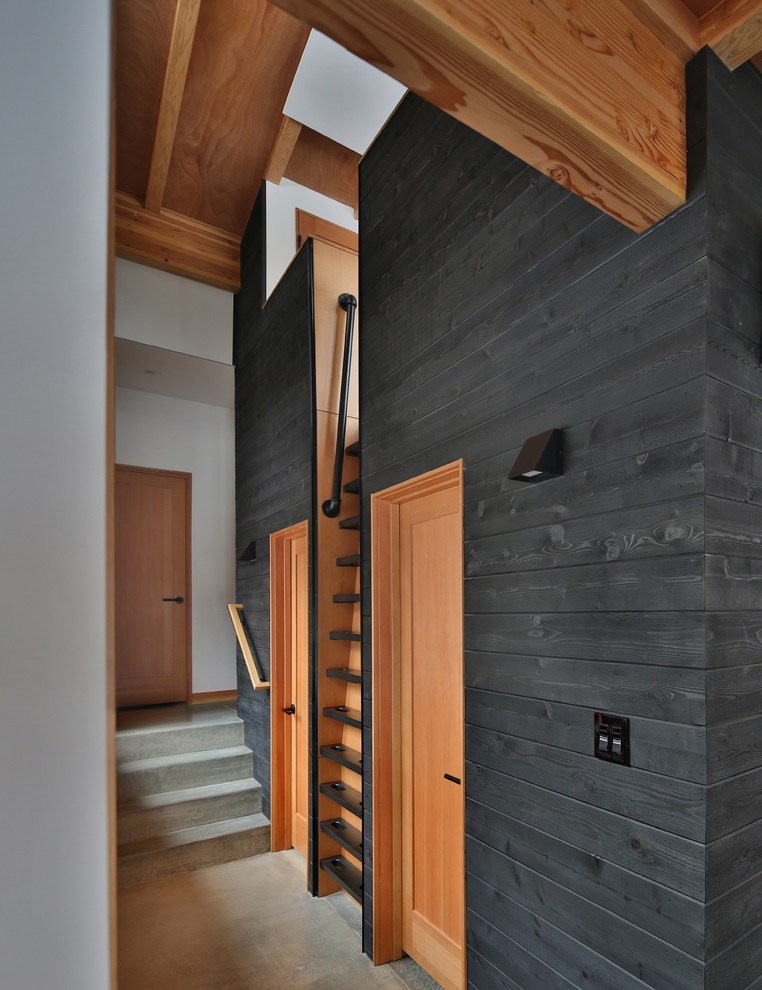 Идея дизайна: маленький коридор в стиле модернизм с черными стенами, бетонным полом и серым полом для на участке и в саду