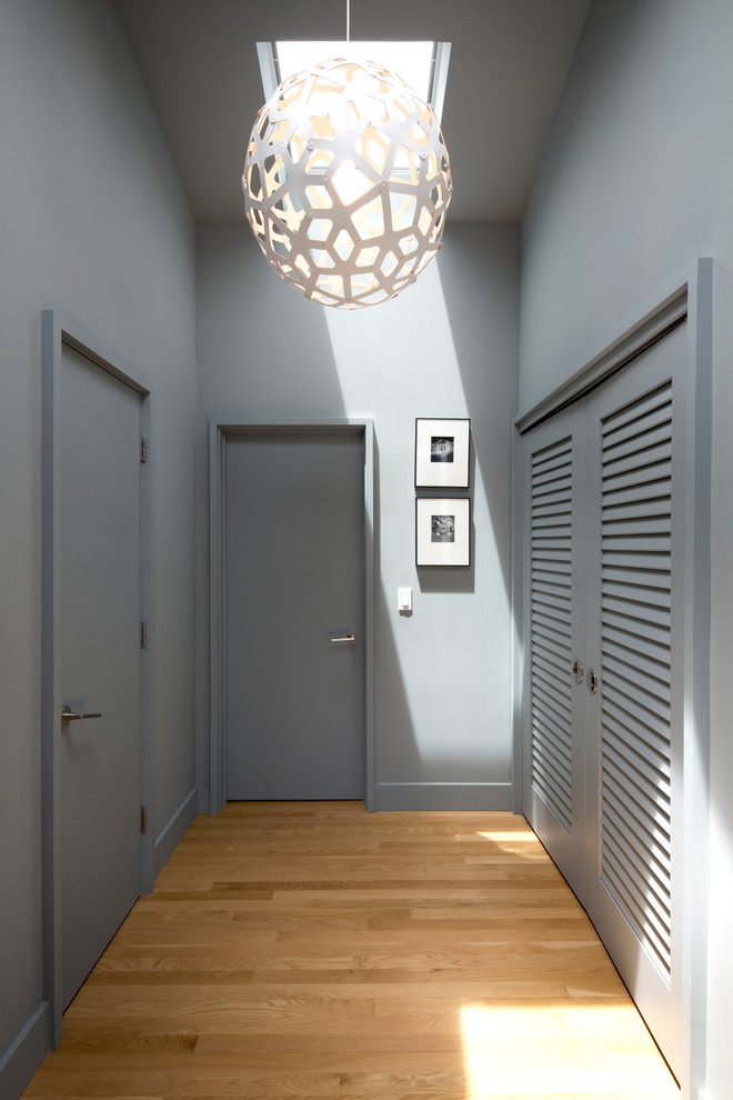 Foto de recibidores y pasillos actuales pequeños con paredes azules y suelo de madera clara