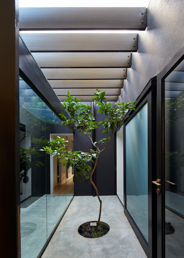 Свежая идея для дизайна: маленький коридор в современном стиле с черными стенами и бетонным полом для на участке и в саду - отличное фото интерьера