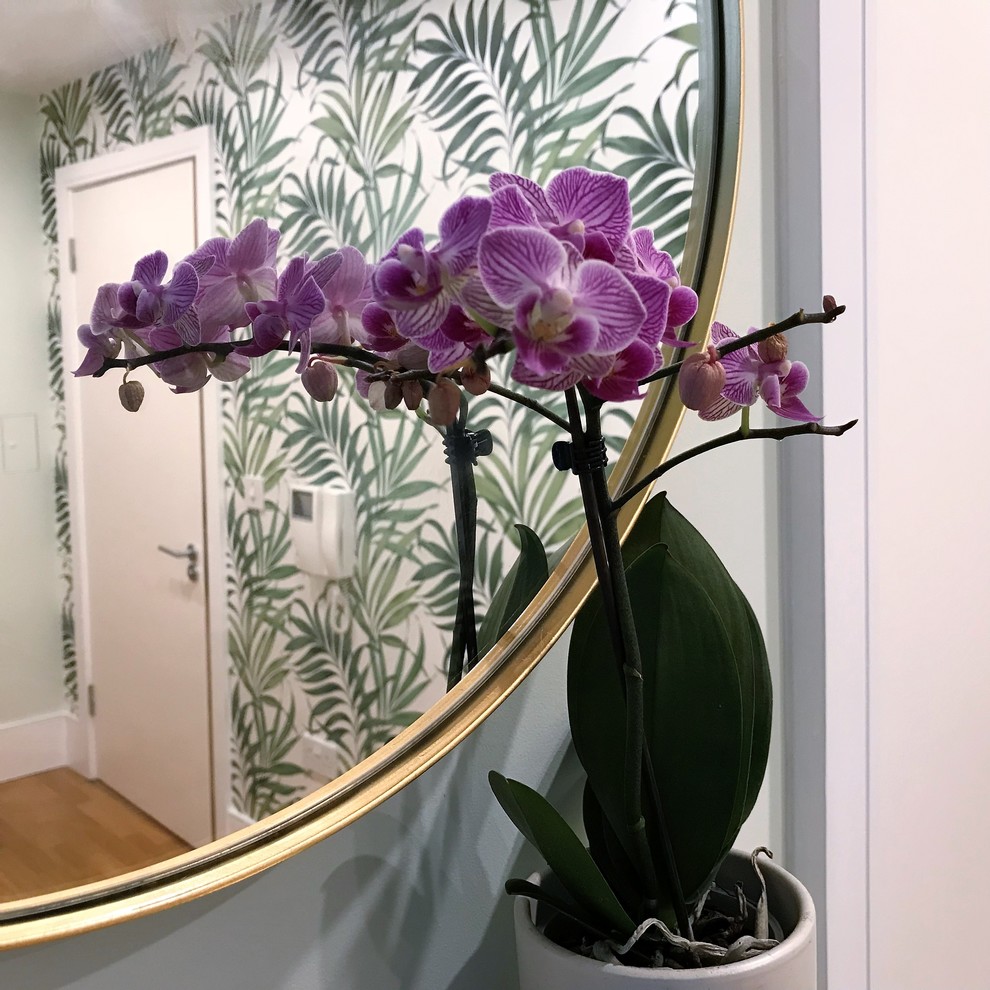 Painters and decorators in Highbury, London Modern Hall London