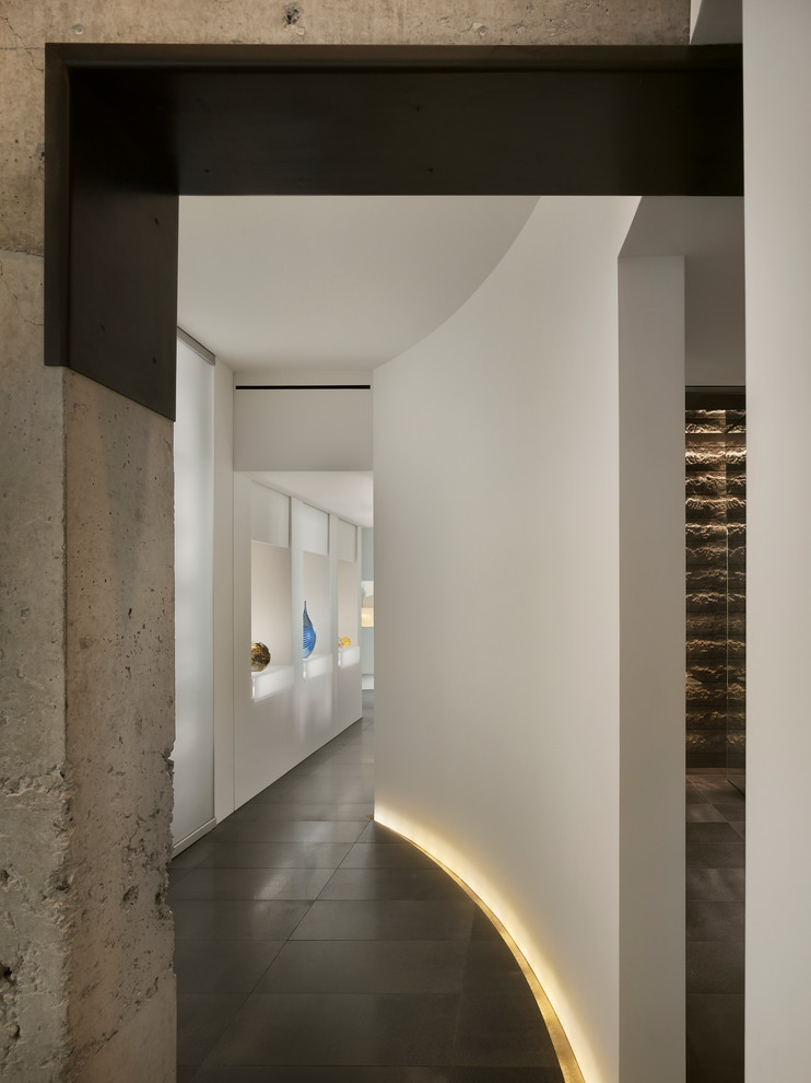 Свежая идея для дизайна: огромный коридор в современном стиле с белыми стенами - отличное фото интерьера
