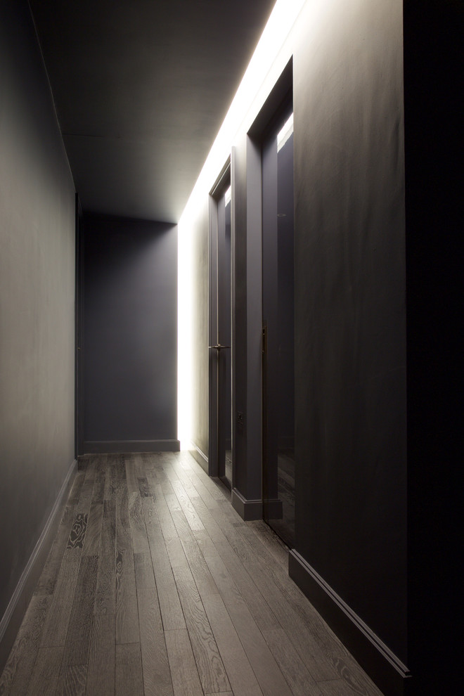 Идея дизайна: коридор среднего размера в современном стиле с фиолетовыми стенами и темным паркетным полом