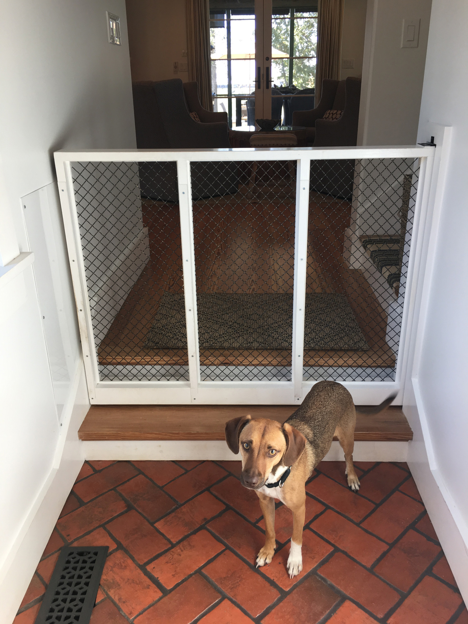pocket dog gate