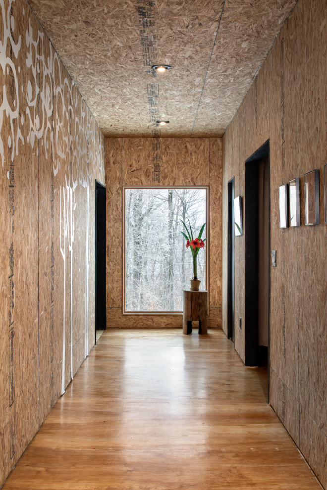 Inspiration för mellanstora moderna hallar, med plywoodgolv