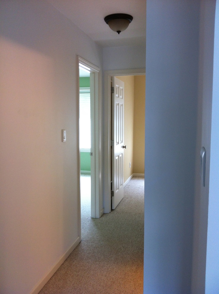 Example of a small minimalist carpeted hallway design in Philadelphia with multicolored walls