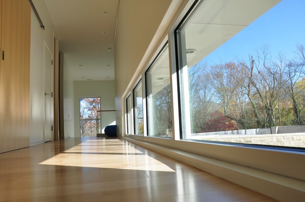 Hallway - modern hallway idea in Indianapolis