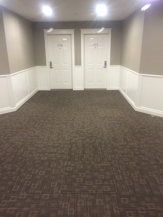 Immagine di un ingresso o corridoio minimal con pareti grigie e moquette