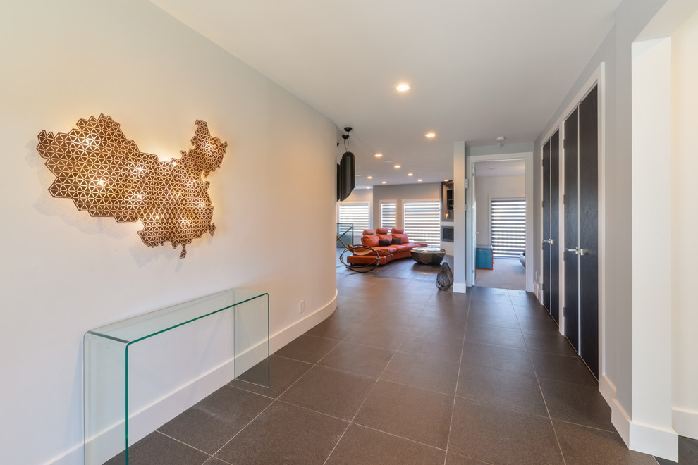 Idee per un grande ingresso o corridoio minimalista con pareti bianche, pavimento in gres porcellanato e pavimento marrone