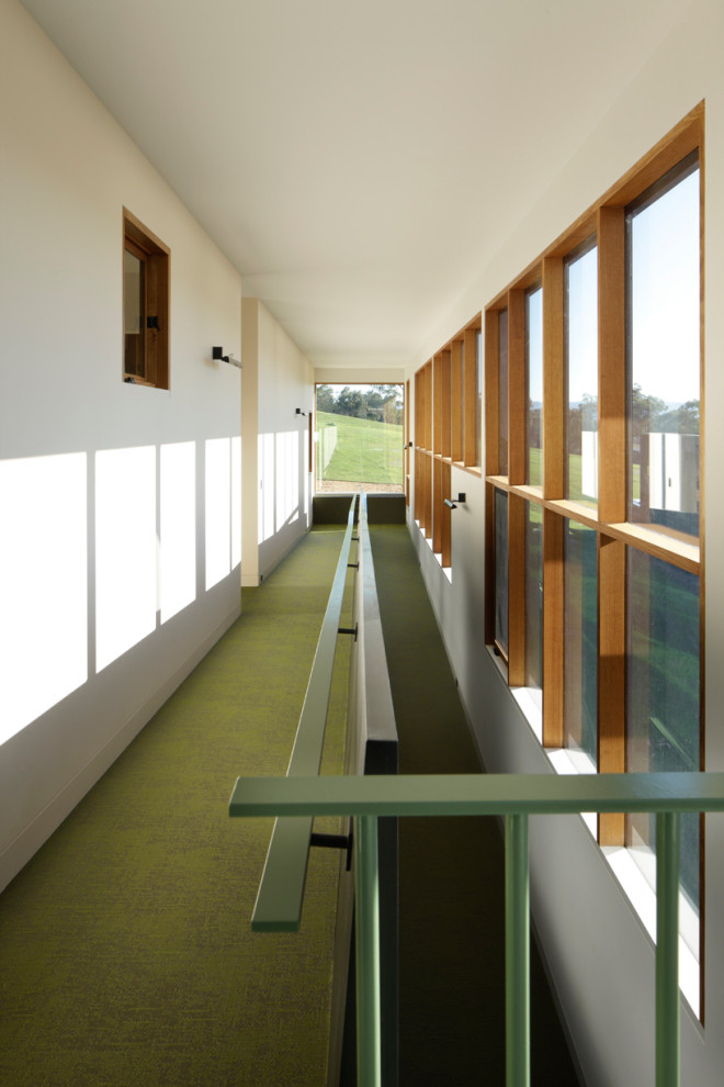 Идея дизайна: огромный коридор в стиле модернизм с бежевыми стенами, полом из винила и зеленым полом