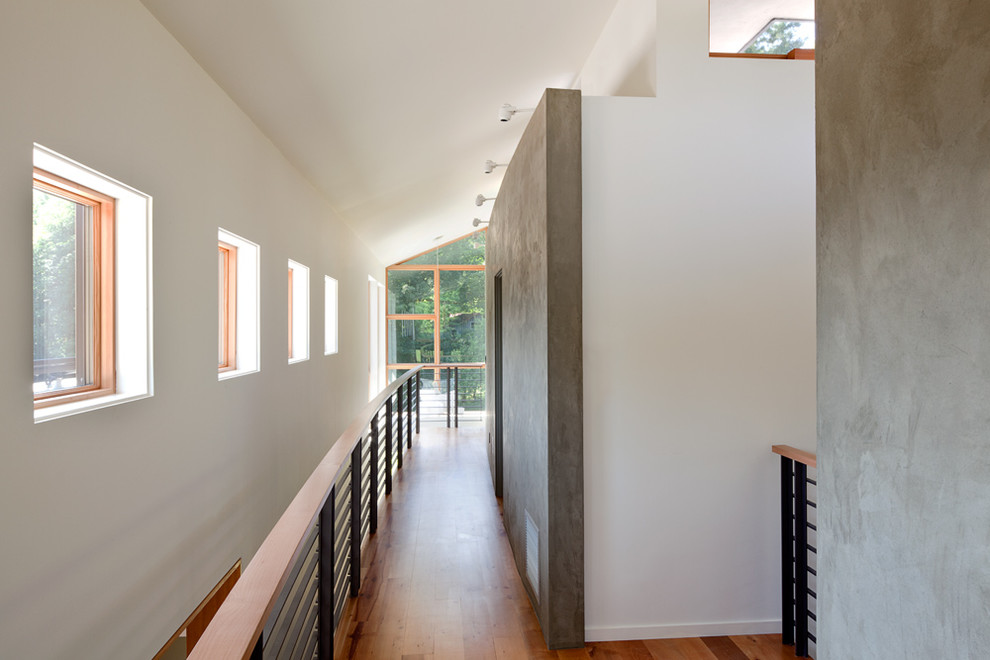 Foto de recibidores y pasillos actuales con paredes grises y suelo de madera en tonos medios