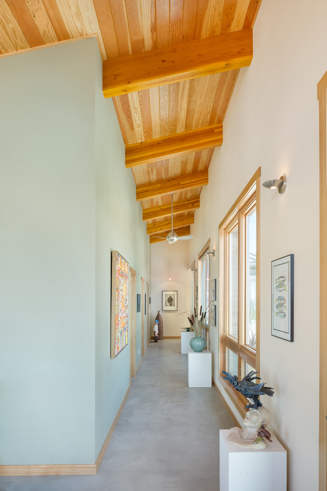 Стильный дизайн: коридор среднего размера в современном стиле с синими стенами и бетонным полом - последний тренд
