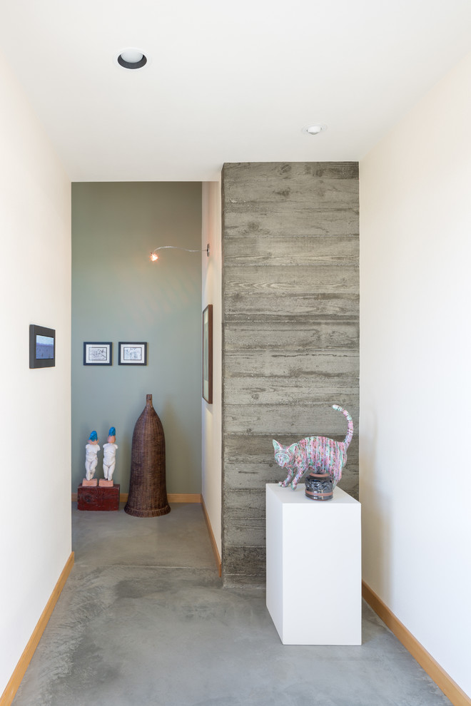 Imagen de recibidores y pasillos modernos de tamaño medio con paredes azules y suelo de cemento