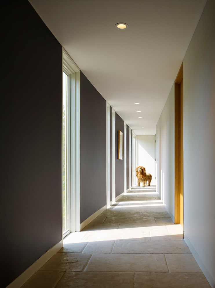 Inspiration for a modern hallway remodel in Grand Rapids