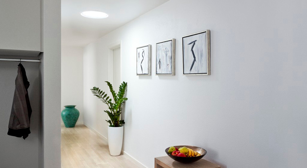 Modelo de recibidores y pasillos minimalistas de tamaño medio con paredes blancas, suelo de madera clara y iluminación