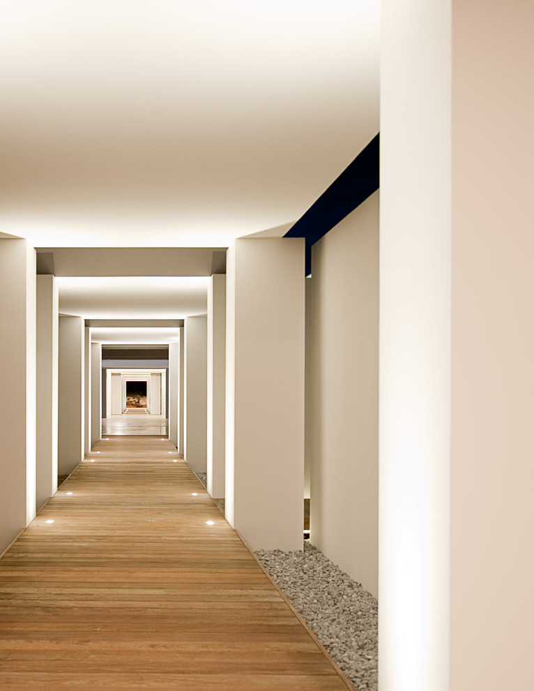 Modelo de recibidores y pasillos exóticos con paredes blancas, suelo de madera en tonos medios y iluminación