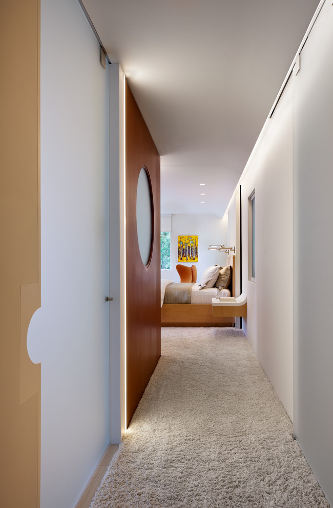 Idées déco pour un petit couloir contemporain avec un mur blanc et moquette.