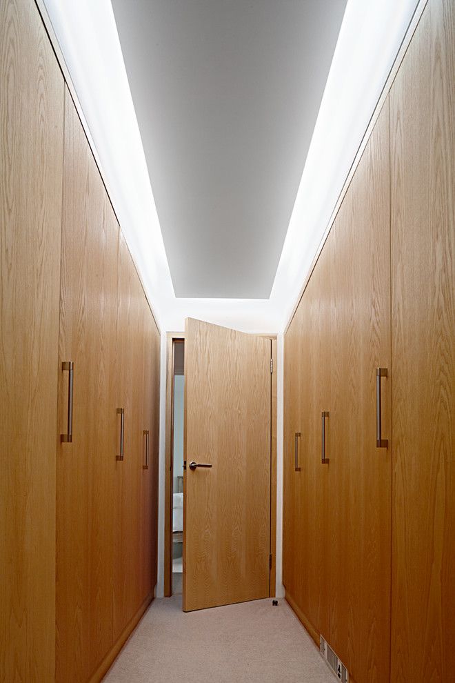 Cette image montre un petit couloir design avec moquette.