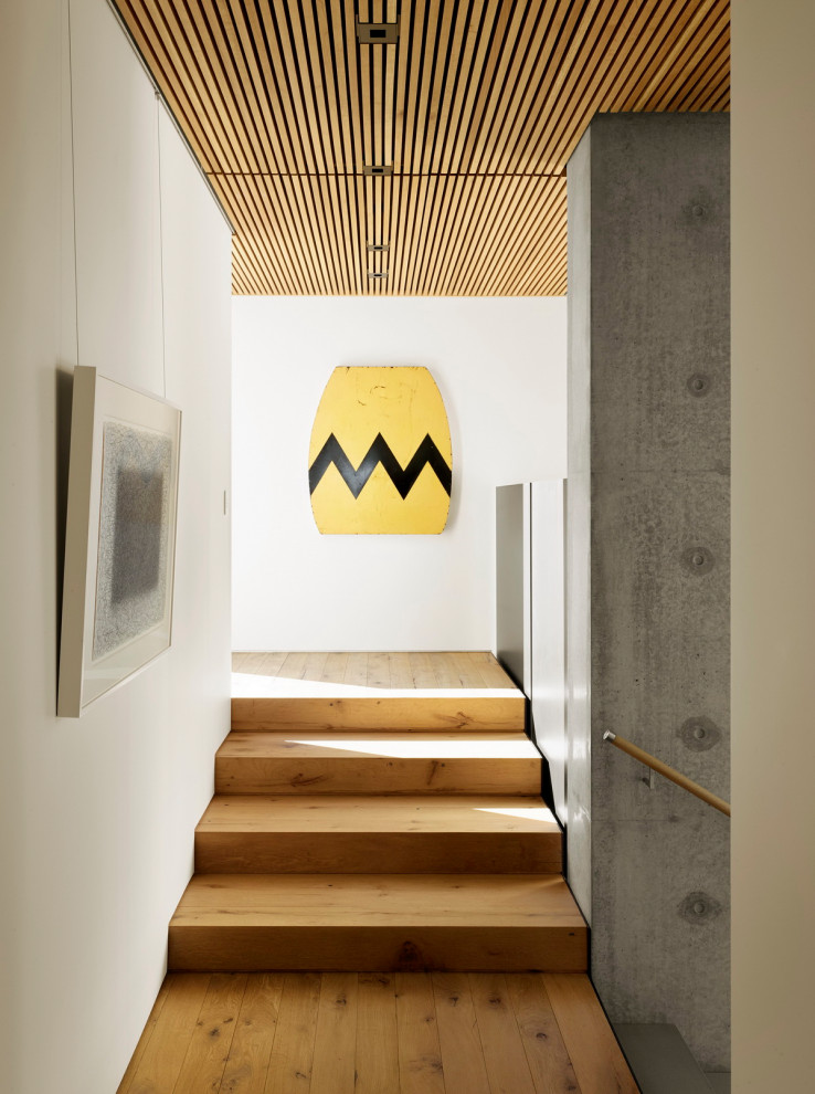 Пример оригинального дизайна: коридор в стиле модернизм с белыми стенами и светлым паркетным полом