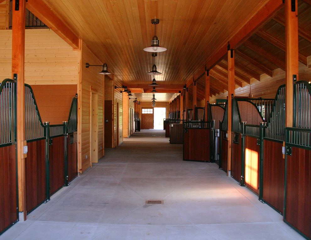 Idee per un ampio ingresso o corridoio classico con pareti marroni e pavimento in cemento