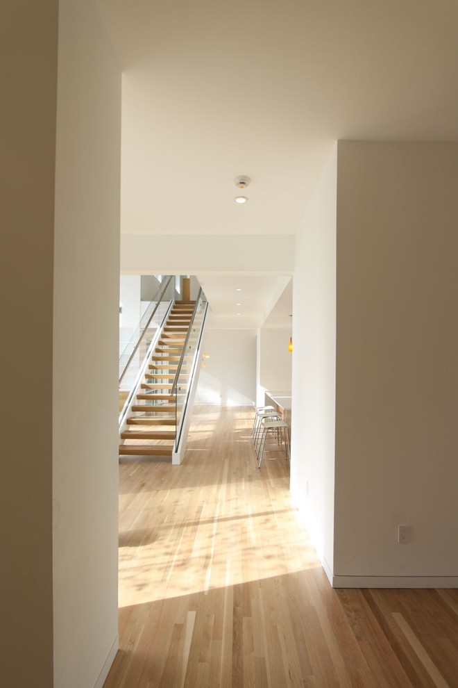 Hallway - contemporary hallway idea in Houston
