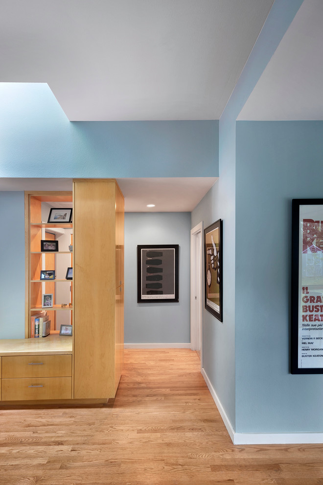 Foto di un ingresso o corridoio minimalista di medie dimensioni con pareti blu e parquet chiaro