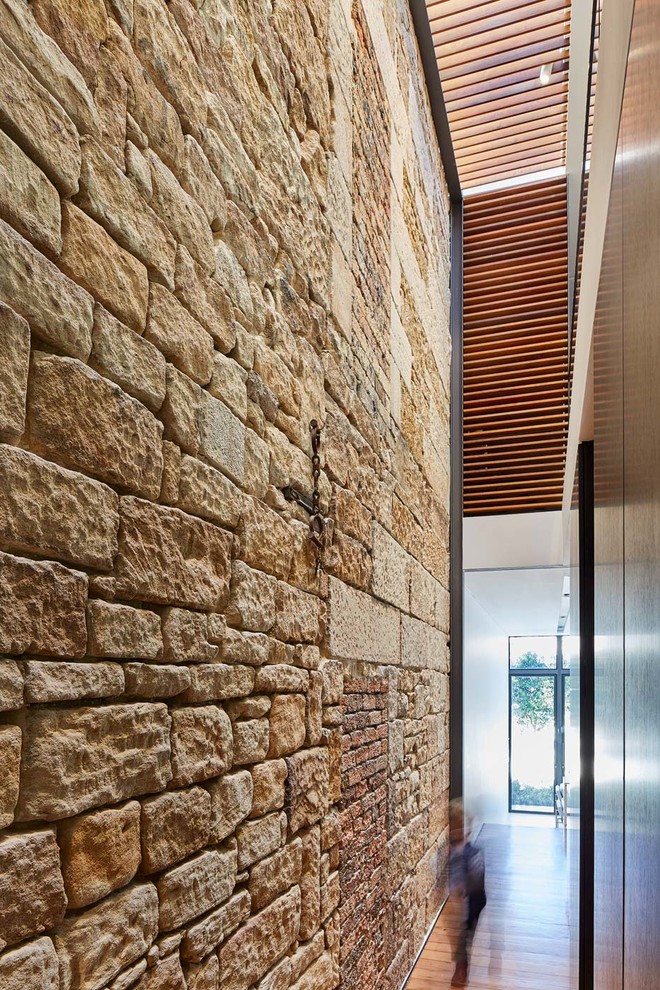 Mittelgroßer Moderner Flur mit brauner Wandfarbe und hellem Holzboden in Sydney
