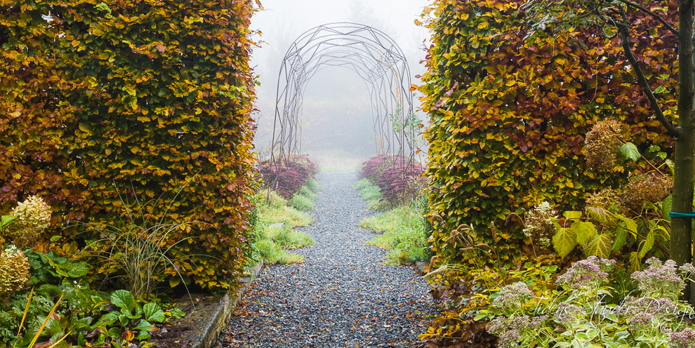 Foto di un giardino formale tradizionale esposto a mezz'ombra dietro casa in autunno con un ingresso o sentiero e ghiaia