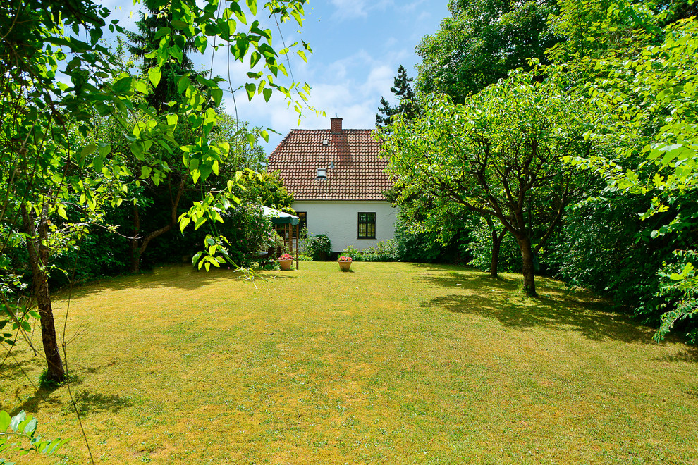 Идея дизайна: солнечный, летний участок и сад среднего размера на заднем дворе в скандинавском стиле с хорошей освещенностью