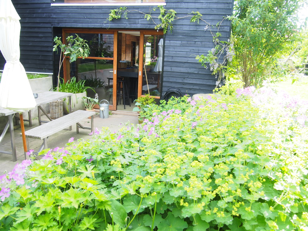 На фото: участок и сад в скандинавском стиле с