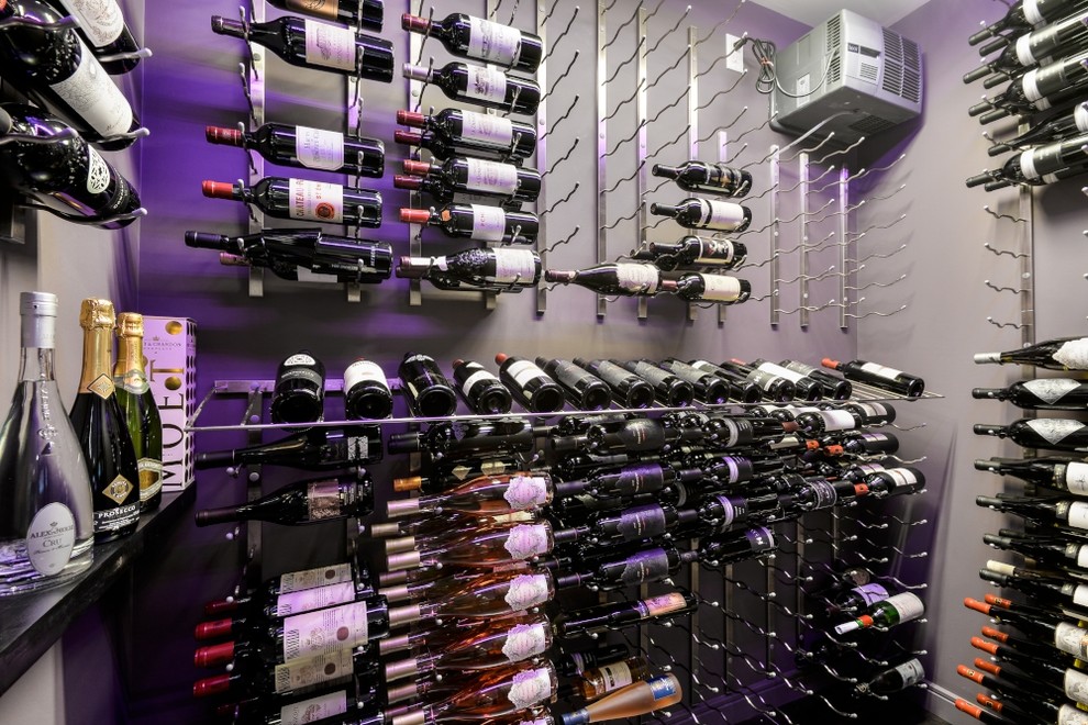 This is an example of a large modern wine cellar in Toronto.