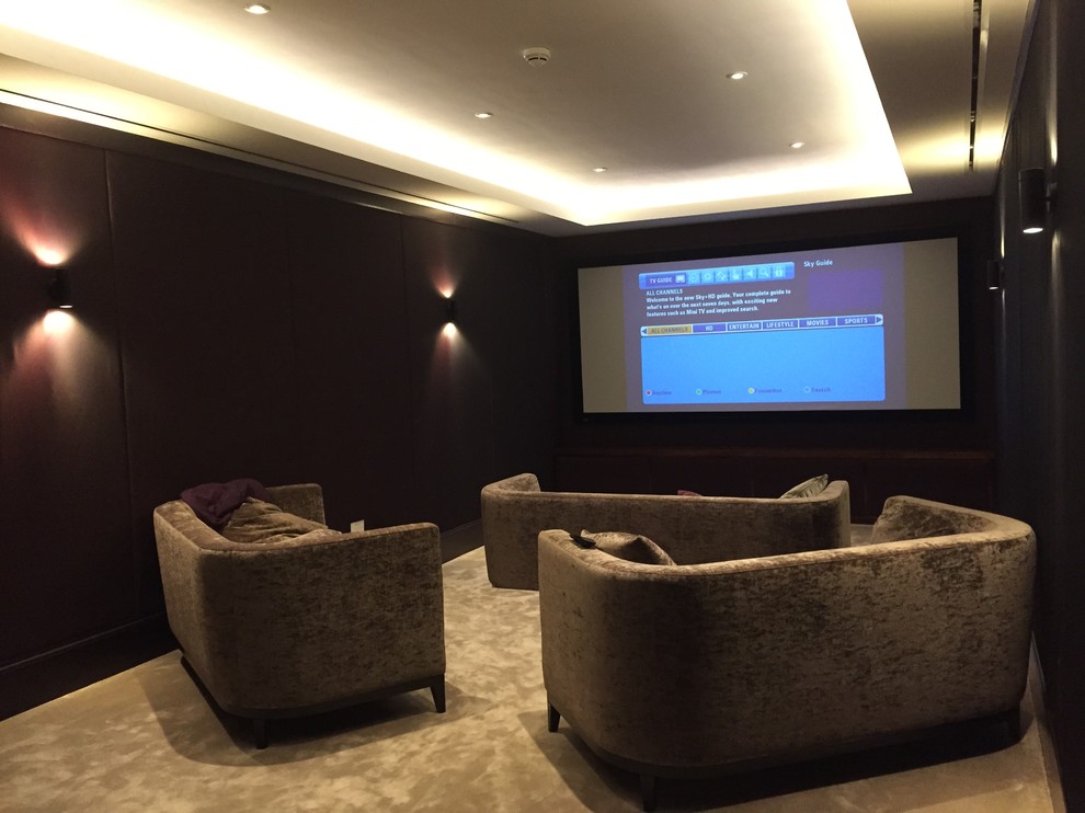 Inspiration for a medium sized contemporary home cinema in Surrey.