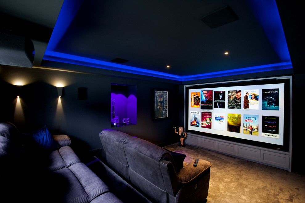 Cette image montre une petite salle de cinéma fermée avec un mur gris, moquette, un écran de projection et un sol marron.
