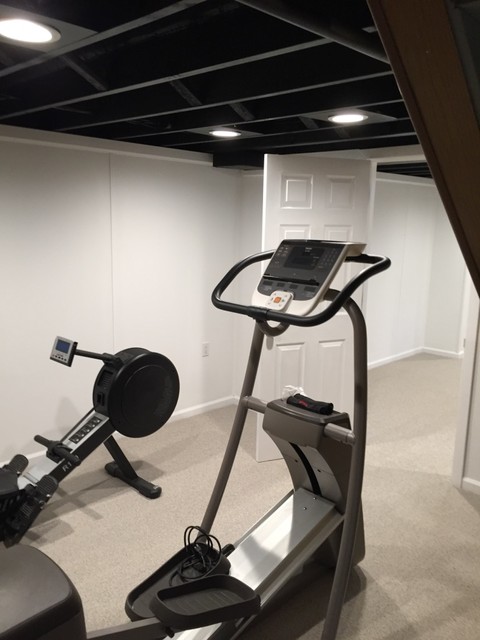 Ann Arbor Basement Finishing Remodel Home Gym Detroit By Wahoo Walls