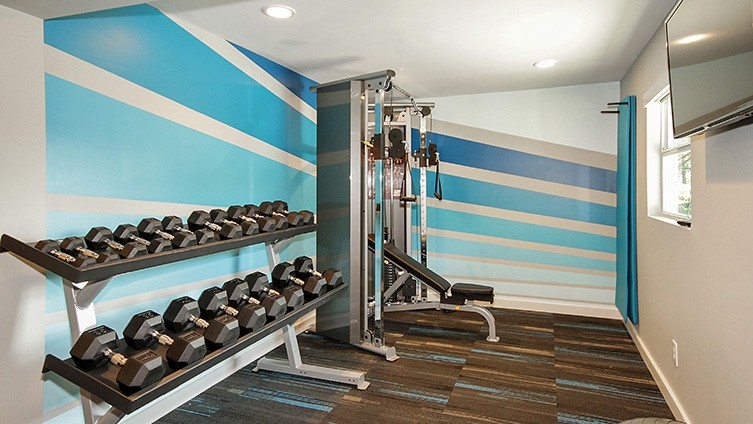 Aménagement d'une salle de musculation contemporaine de taille moyenne avec un mur bleu et moquette.