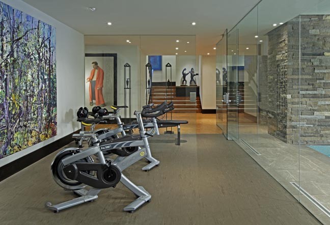 Photo of a contemporary home gym in Toronto.