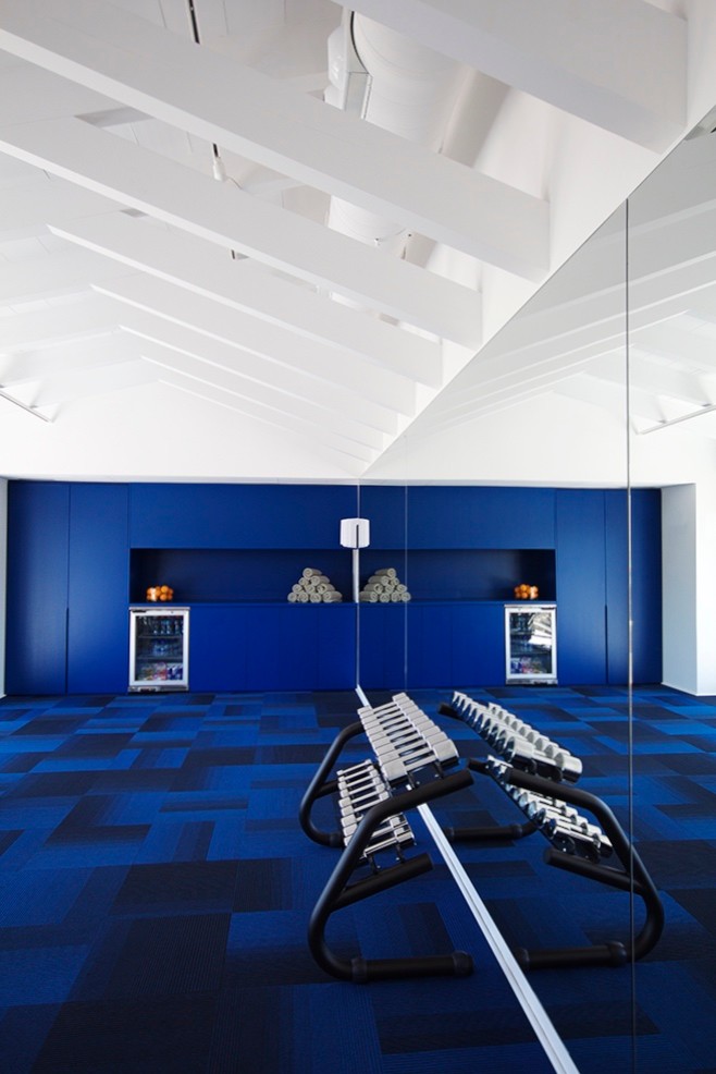 バルセロナにある高級な広いコンテンポラリースタイルのおしゃれな多目的ジム (青い壁、カーペット敷き、青い床) の写真