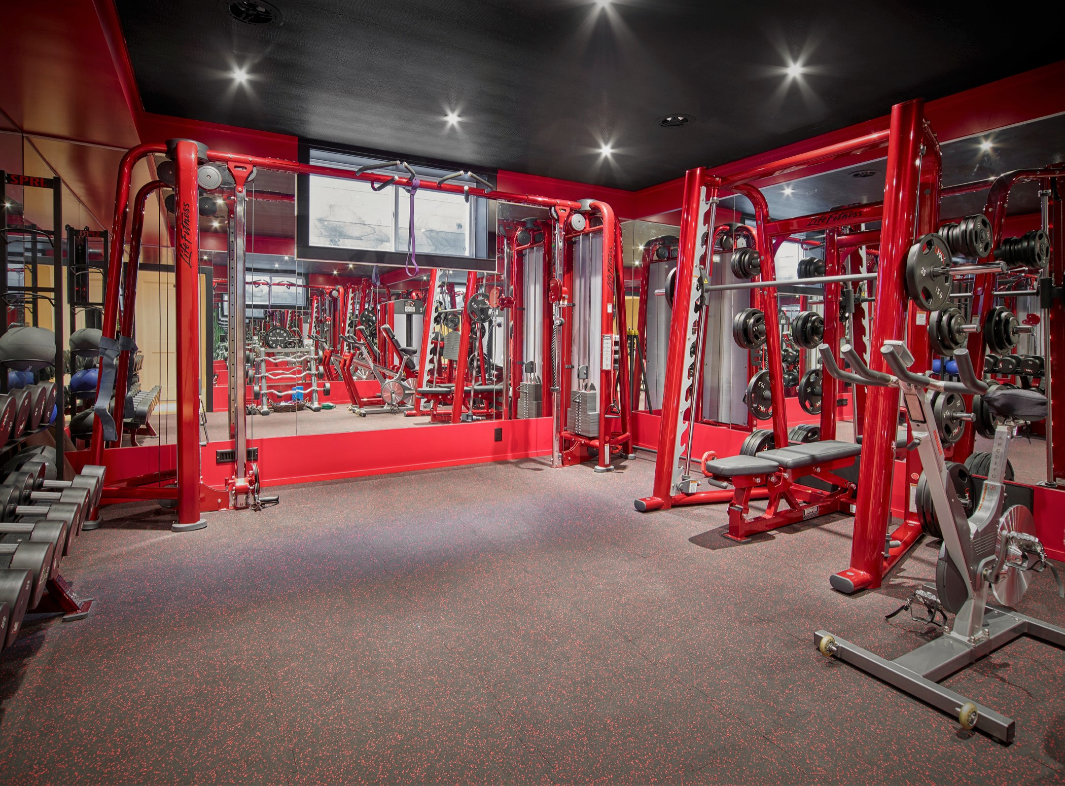 75 Beautiful Home Gym with Red Walls 