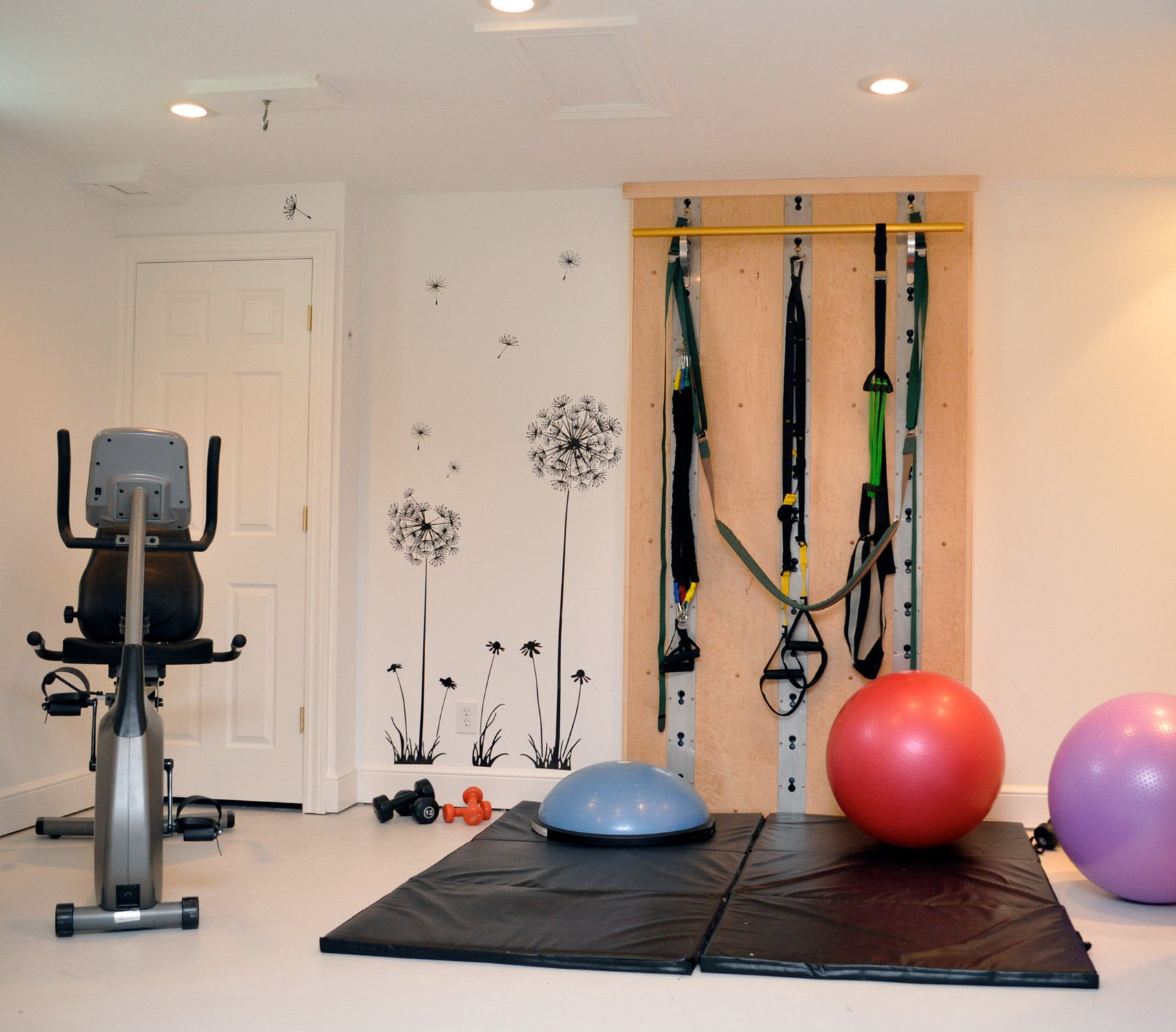 75 Modern Home Gym Ideas You'll Love - March, 2024