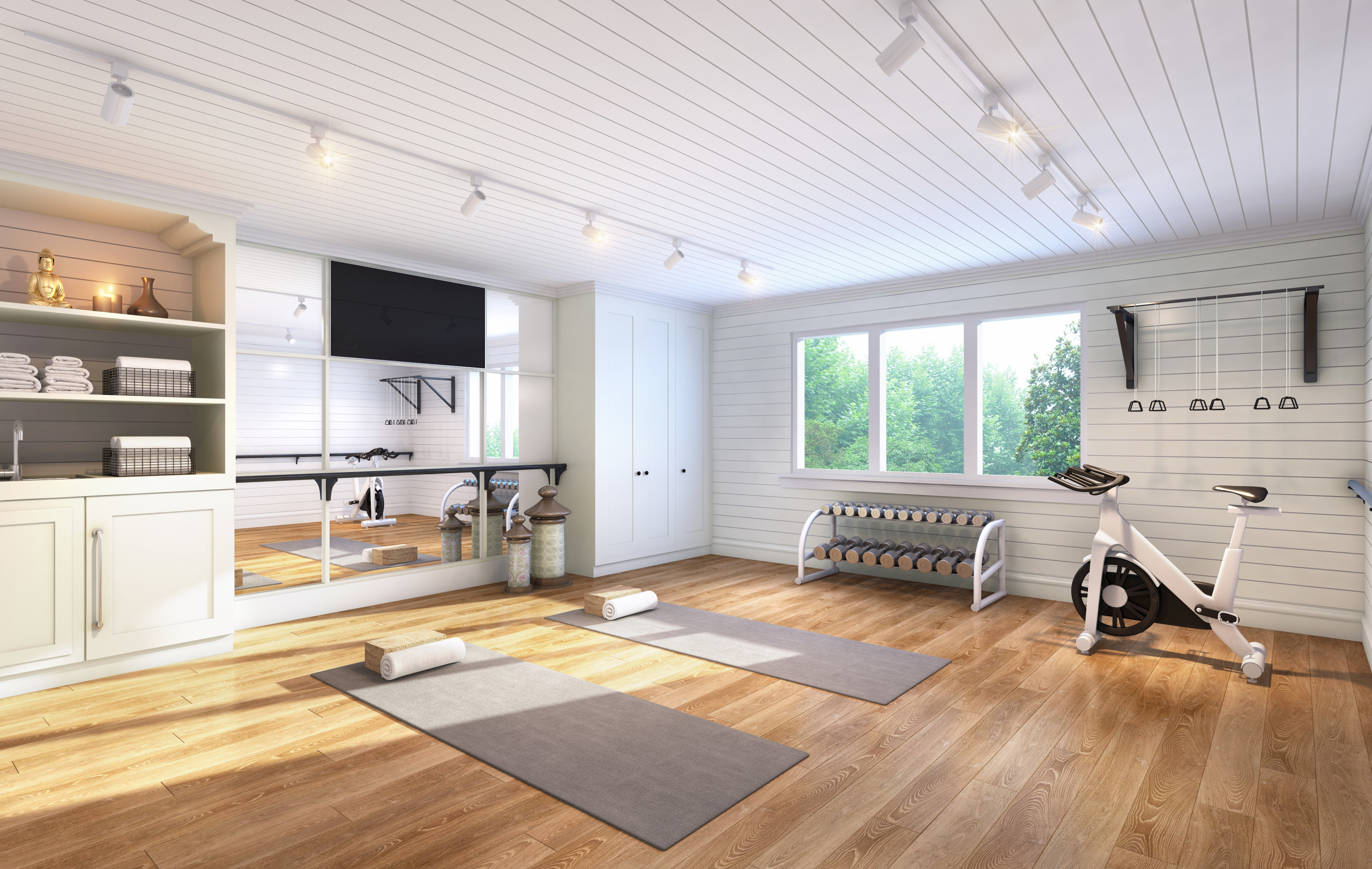 75 Beautiful Home Gym Pictures Ideas August 2021 Houzz