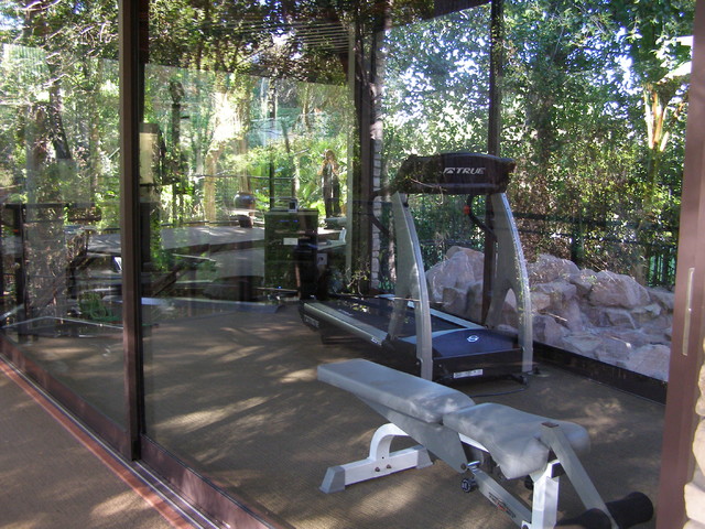 Home gym in backyard sale