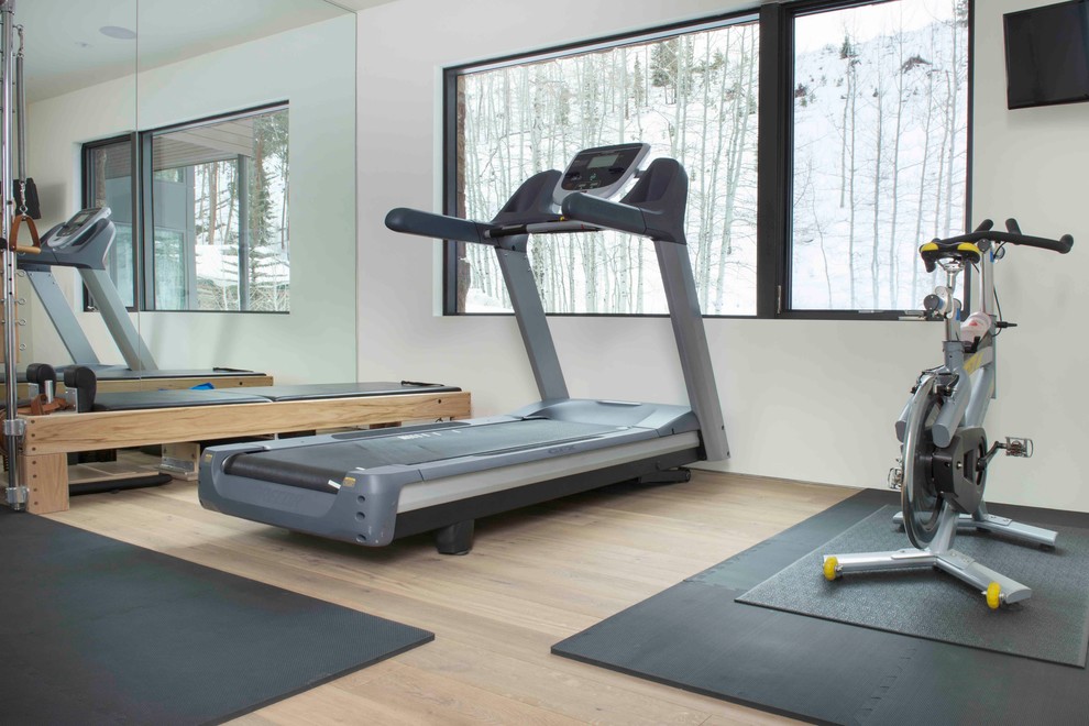 Inspiration for a large modern light wood floor multiuse home gym remodel in Denver with white walls