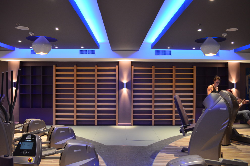 Recently completed Modern Home Gym Channel Islands by Whittinghams Ltd Houzz