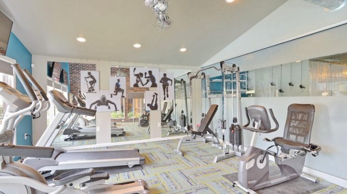 Photo of a medium sized modern multi-use home gym in Houston with blue walls and carpet.