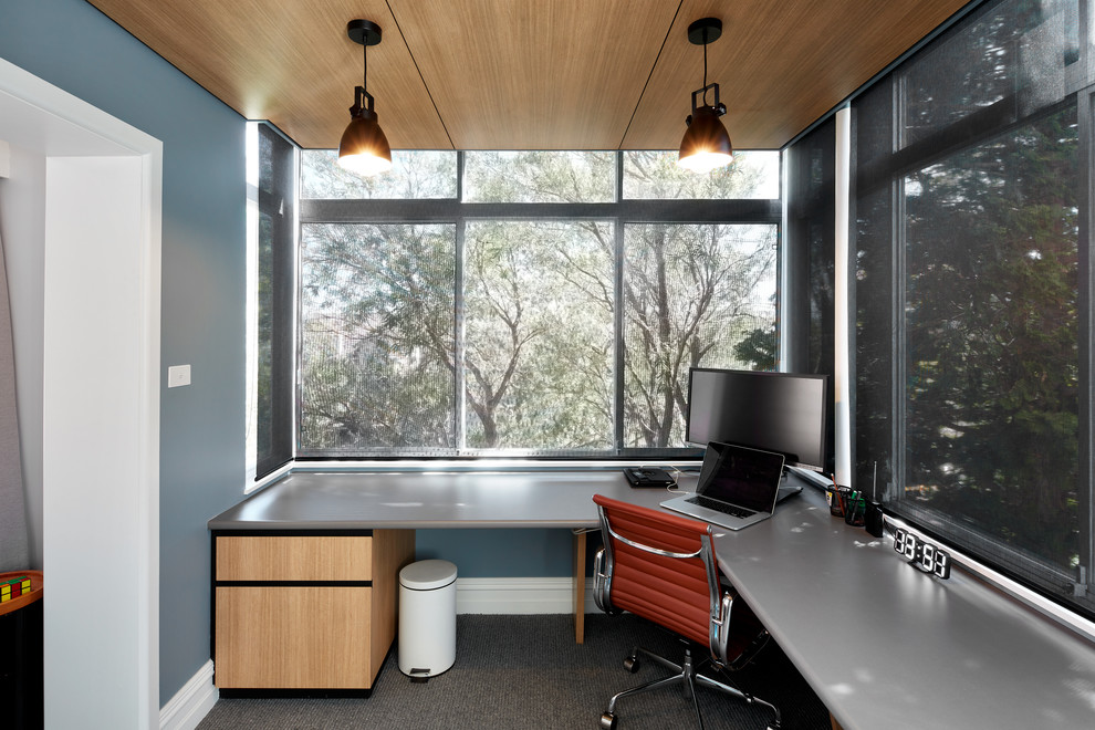 Modern inredning av ett hemmabibliotek, med blå väggar, heltäckningsmatta, ett inbyggt skrivbord och grått golv