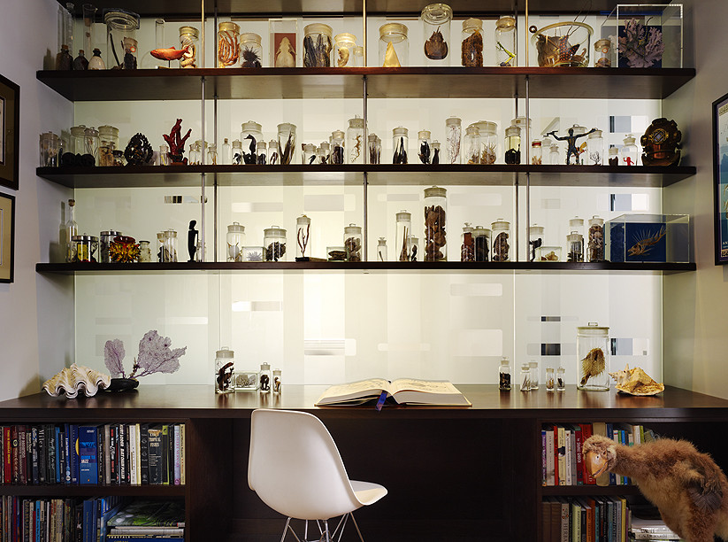 Mittelgroßes Modernes Arbeitszimmer ohne Kamin mit Arbeitsplatz, weißer Wandfarbe, dunklem Holzboden und Einbau-Schreibtisch in San Francisco
