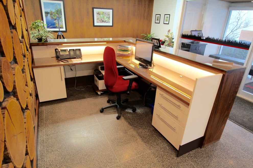 Foto de despacho contemporáneo sin chimenea con paredes blancas, suelo de cemento y escritorio empotrado